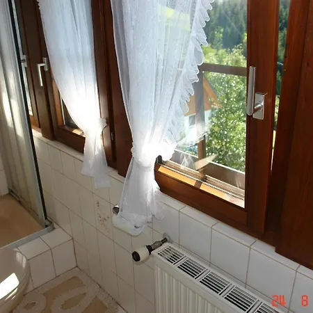 Naturnahe Ferienwohnung In Erholsamer Lage Fuer Besinnlichen Urlaub Im Schwarzwald Lejlighed Mühlenbach