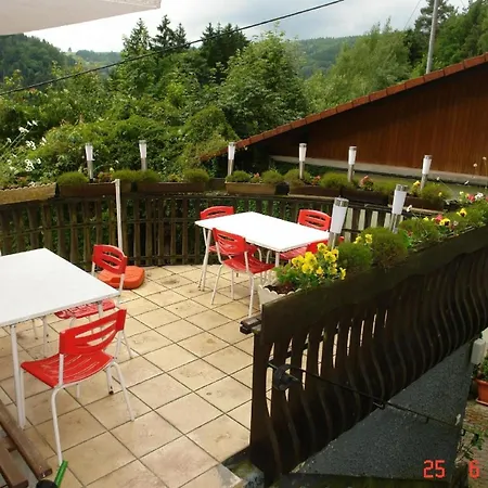 Naturnahe Ferienwohnung In Erholsamer Lage Fuer Besinnlichen Urlaub Im Schwarzwald * Mühlenbach