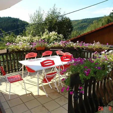 Naturnahe Ferienwohnung In Erholsamer Lage Fuer Besinnlichen Urlaub Im Schwarzwald * Mühlenbach